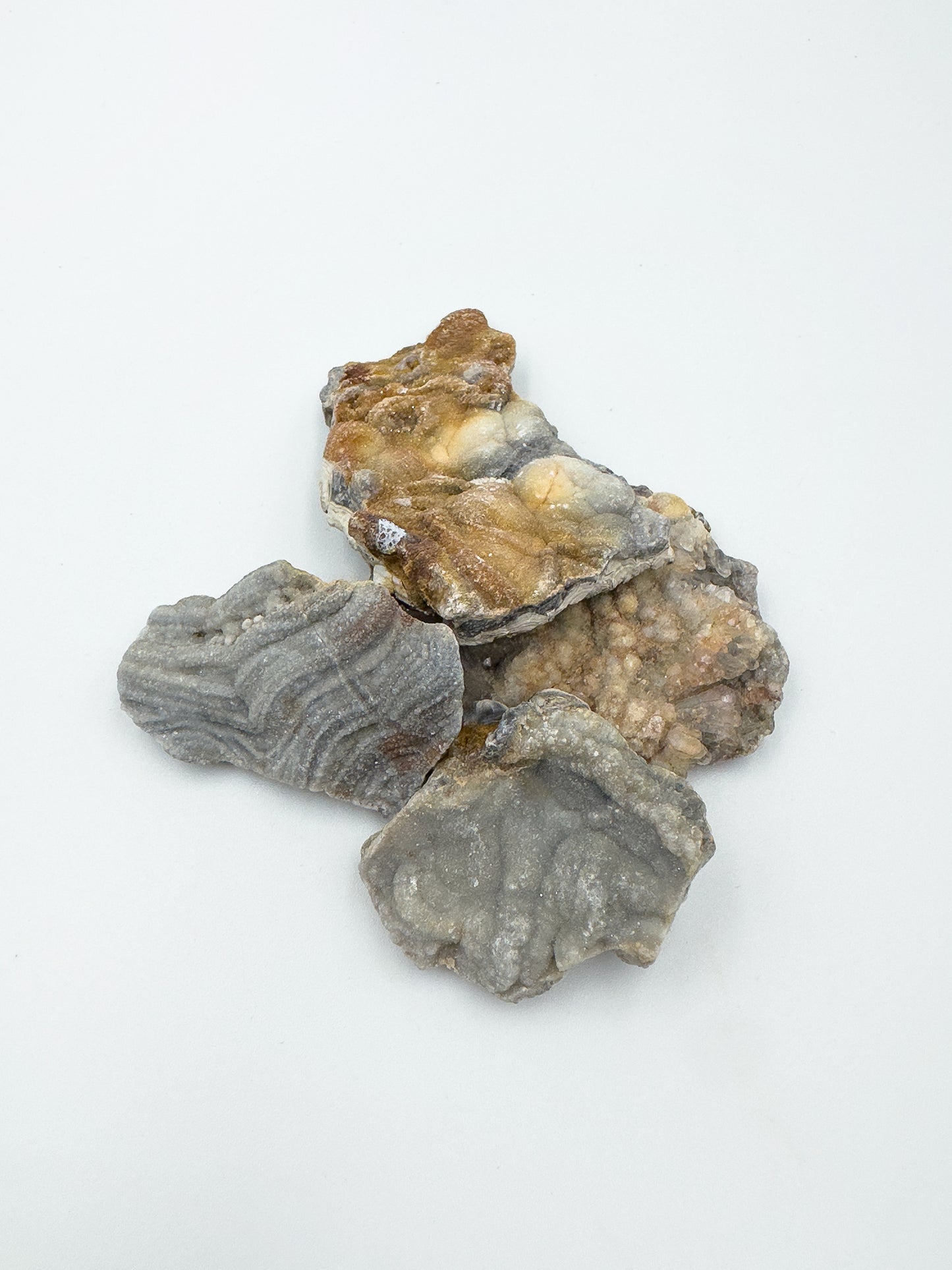 Ágata (Calcedónia Botrioidal)