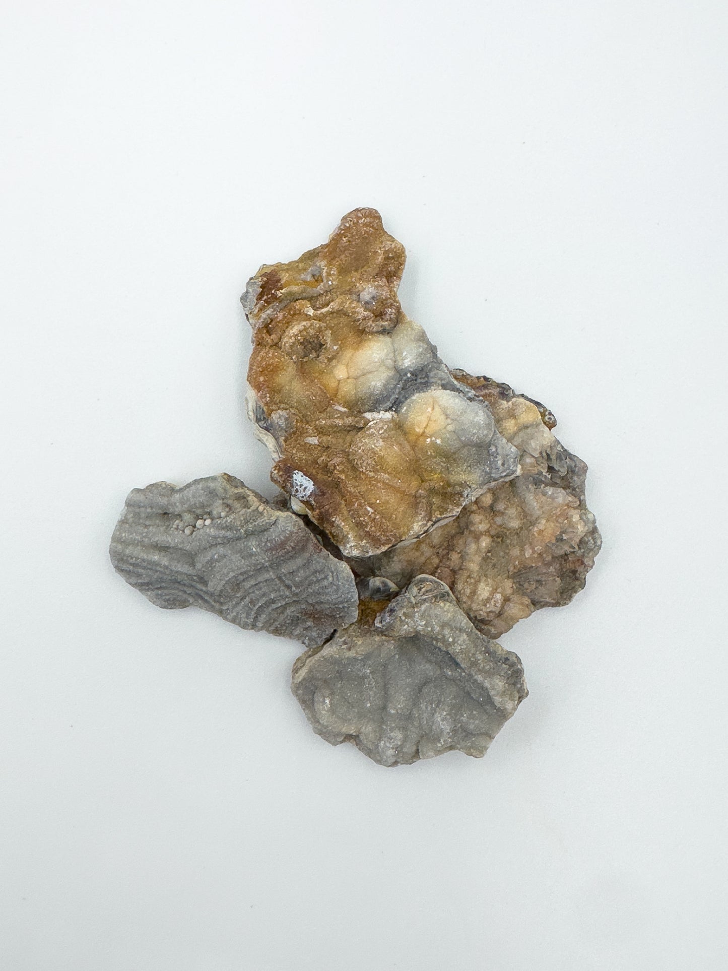 Ágata (Calcedónia Botrioidal)