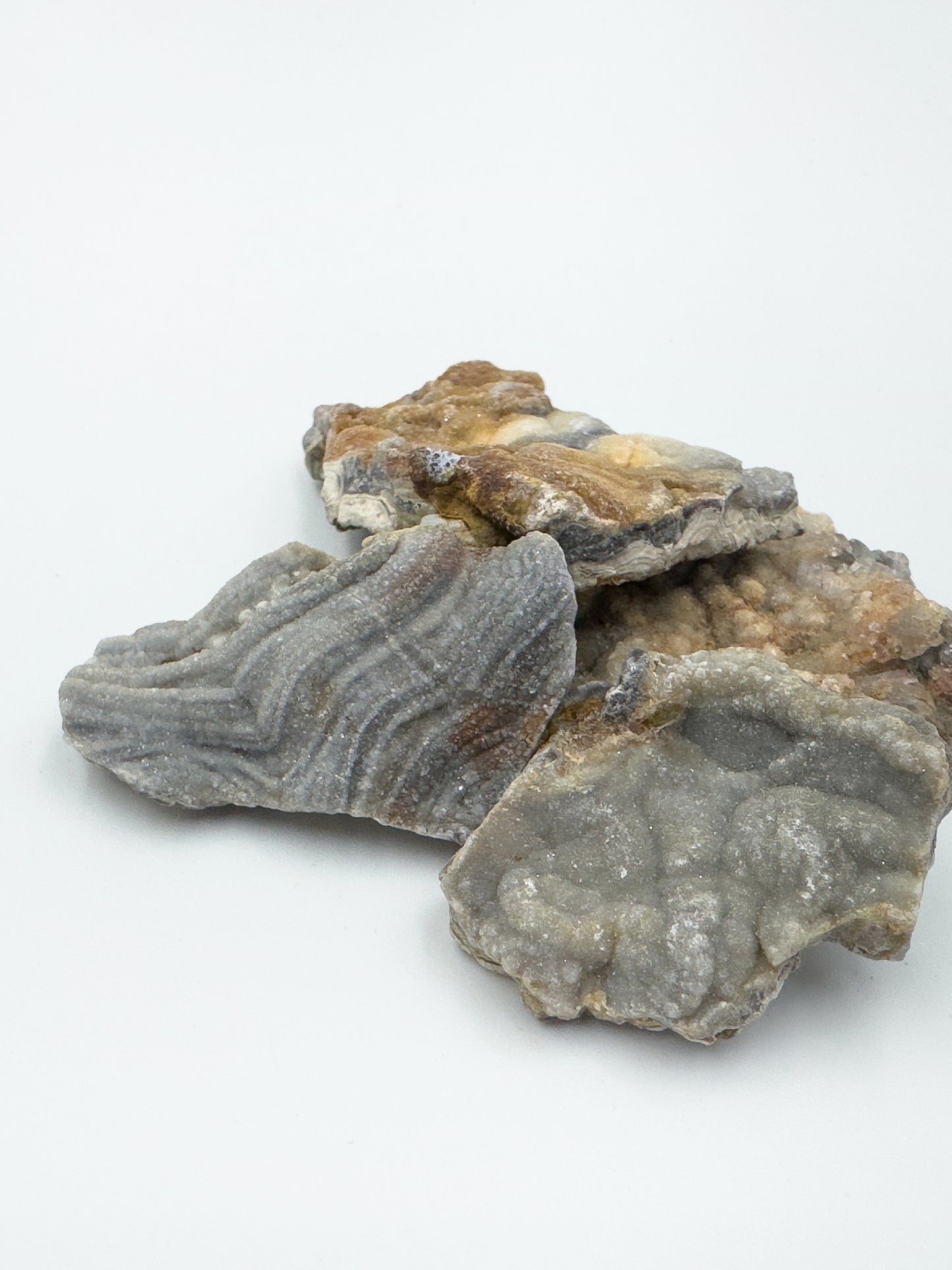 Ágata (Calcedónia Botrioidal)