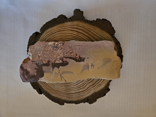 Chapa de Mokaite REF.1